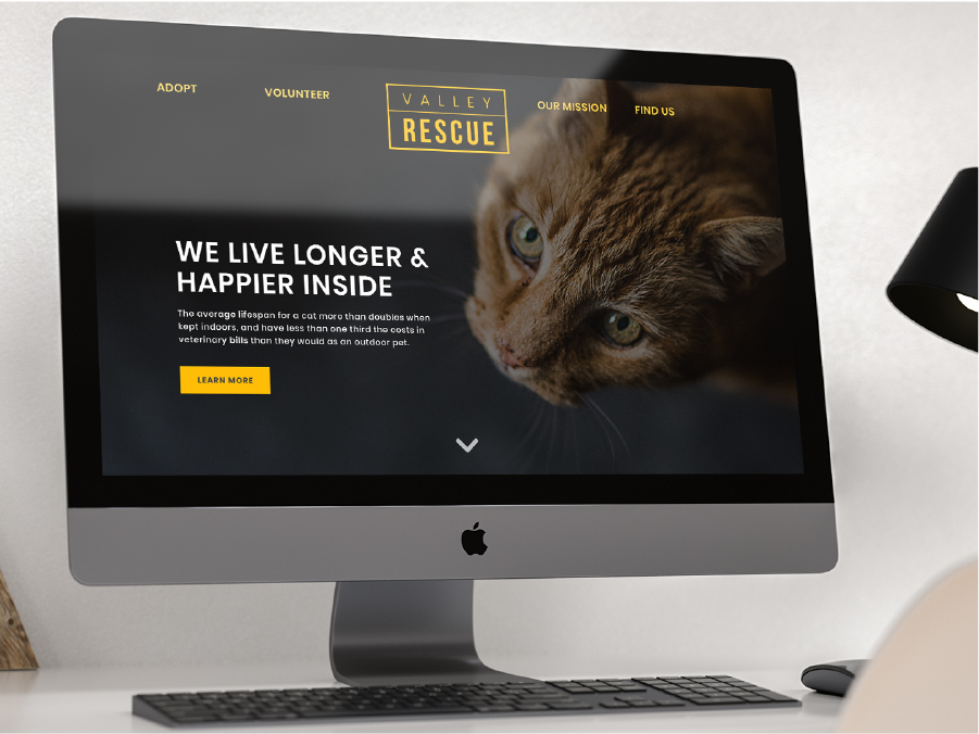 Valley Rescue mockup